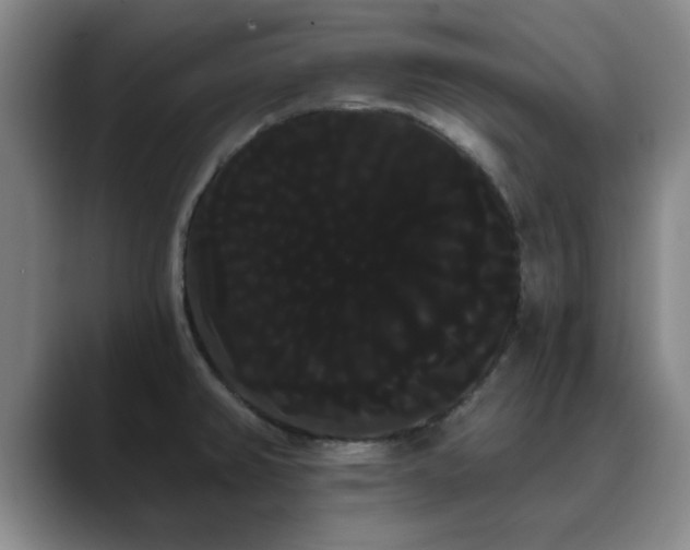 X0000090711382200707201207