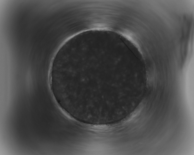 X0000090711383200707201207