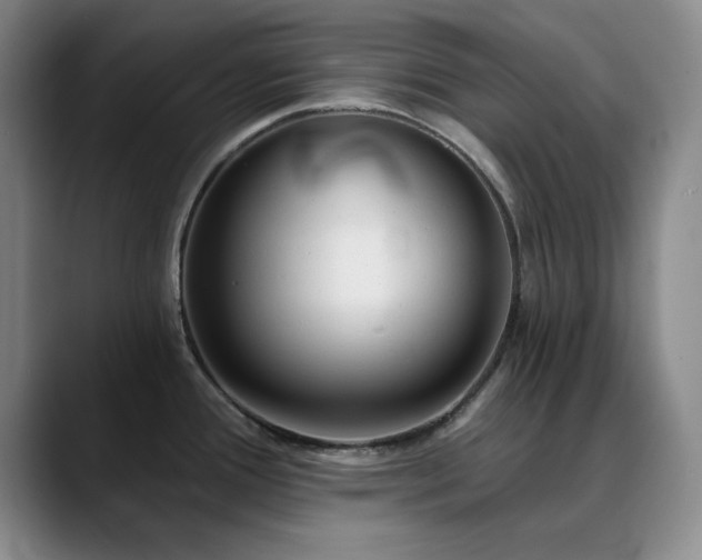 X0000090711388200707201207