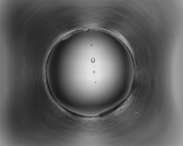 X0000090711389200707201207