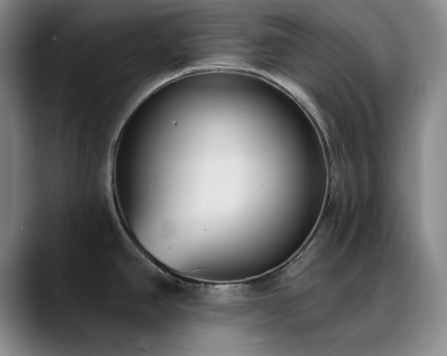 X0000090711390200707201207