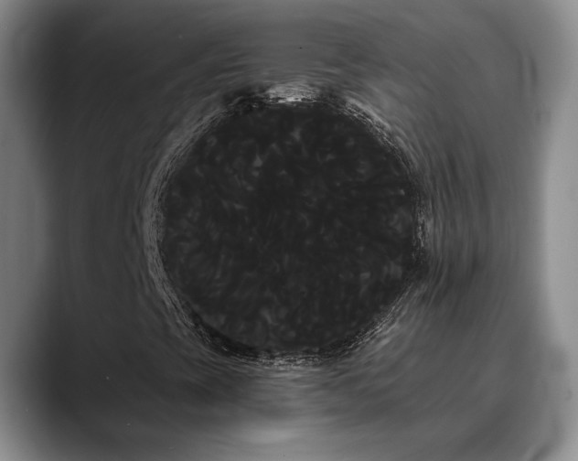 X0000090711393200707201207