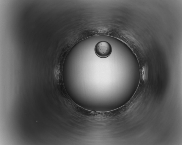 X0000090711395200707201207