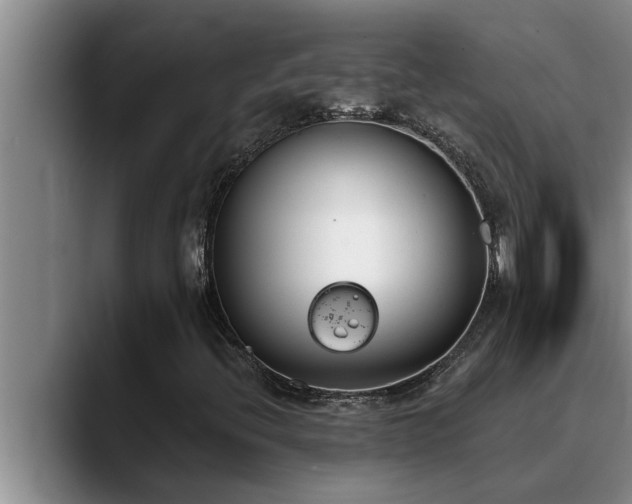 X0000090711396200707201207