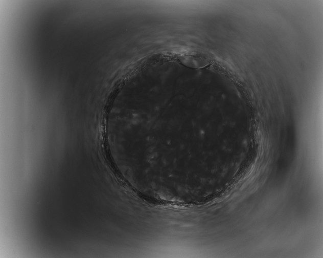 X0000090711397200707201207