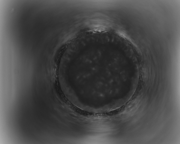 X0000090711399200707201207