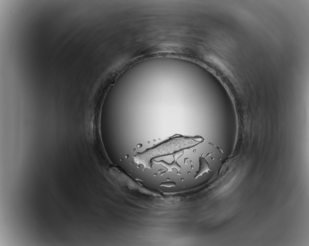 X0000090711403200707201207