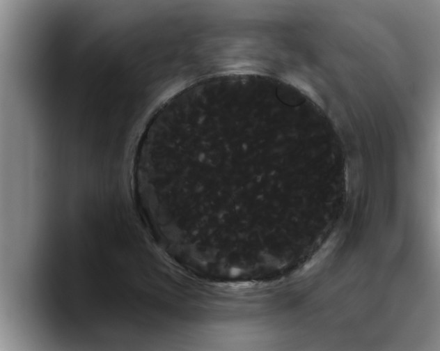 X0000090711405200707201207