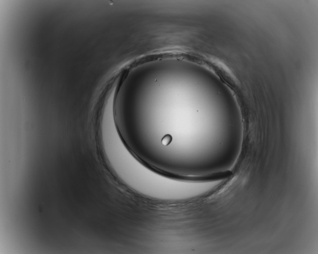 X0000090711406200707201207