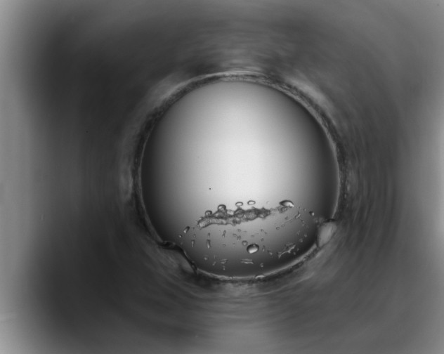 X0000090711407200707201207