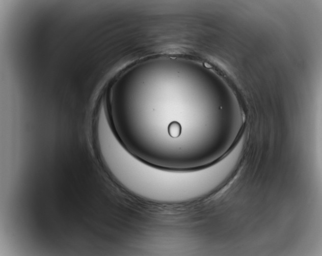 X0000090711410200707201207