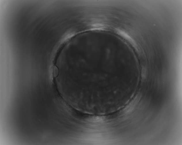 X0000090711411200707201207