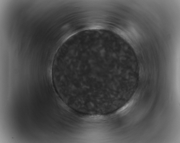 X0000090711417200707201207