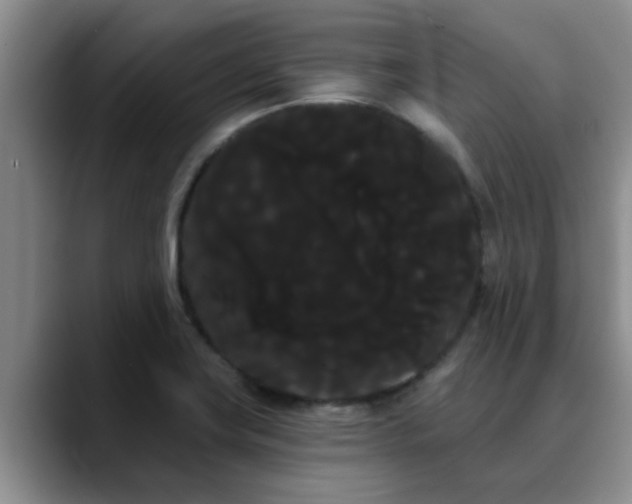 X0000090711419200707201207