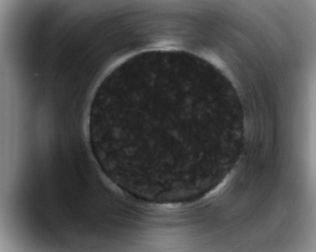 X0000090711421200707201207