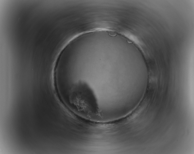 X0000090711423200707201207