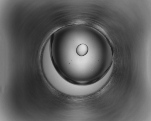 X0000090711426200707201207