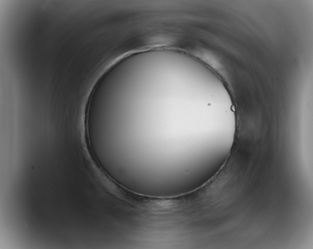 X0000090711431200707201207