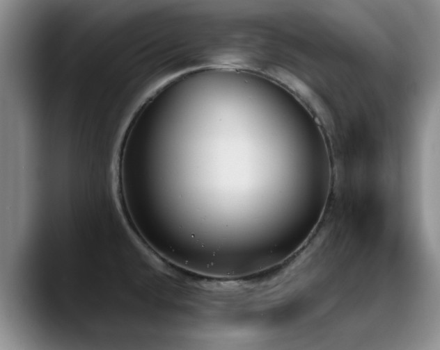 X0000090711432200707201207