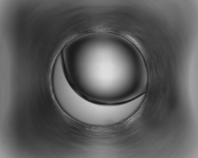 X0000090711434200707201207