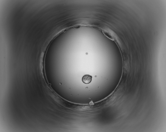 X0000090711435200707201207