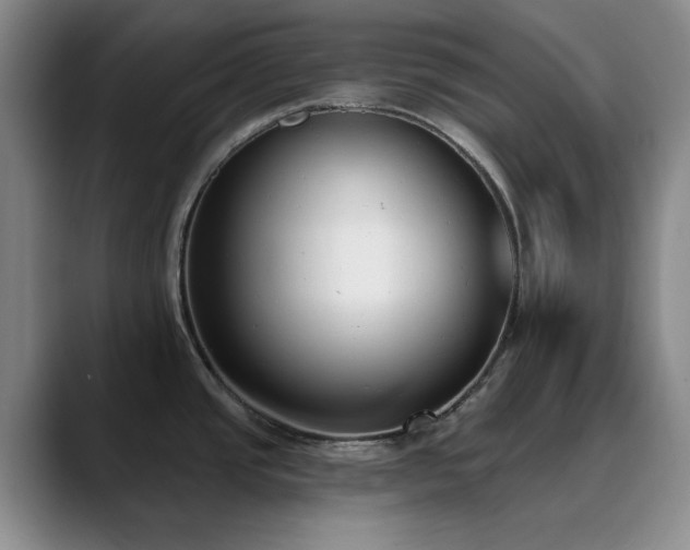 X0000090711437200707201207