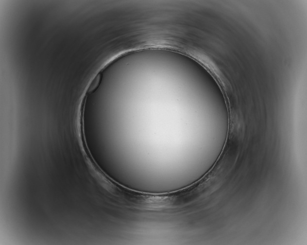 X0000090711439200707201207