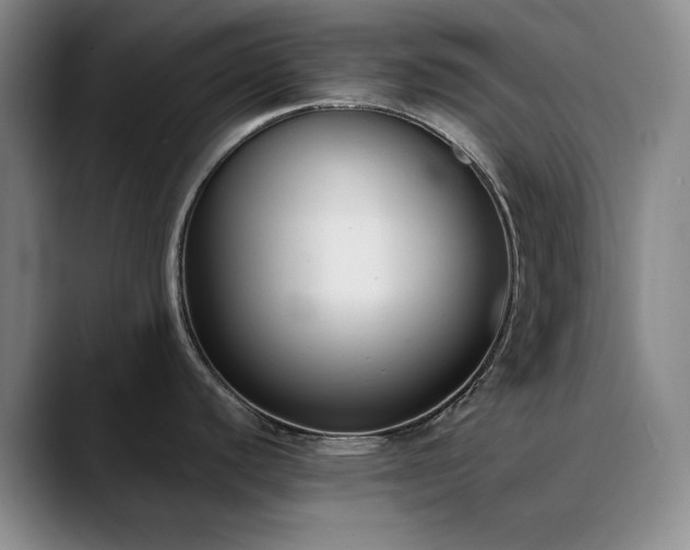 X0000090711440200707201207