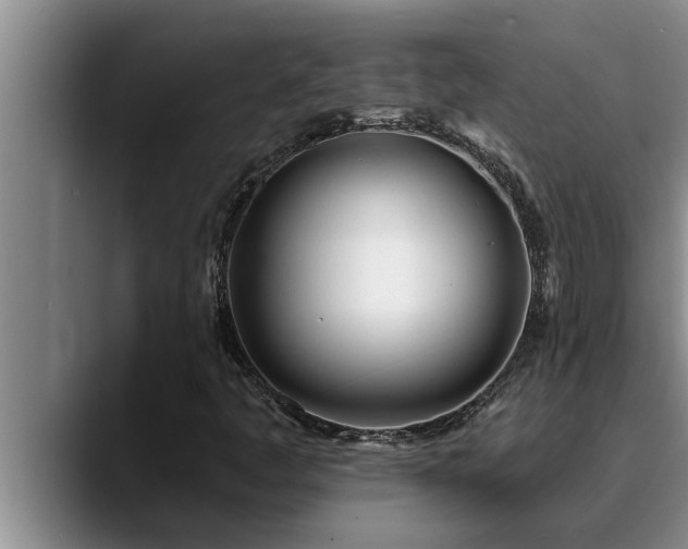 X0000090711445200707201207