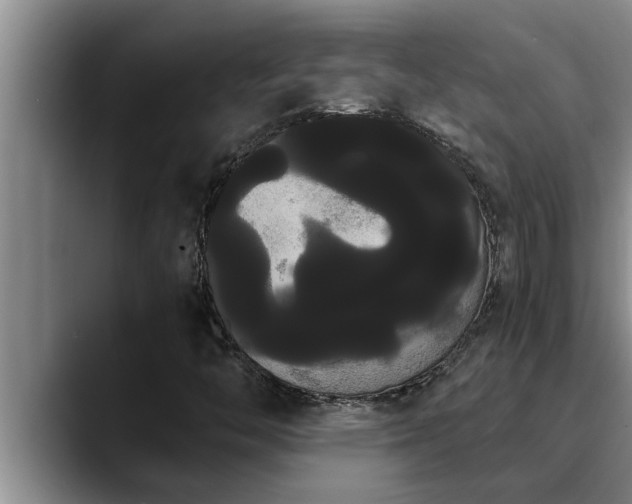 X0000090711446200707201207