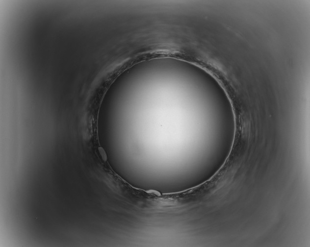 X0000090711448200707201207