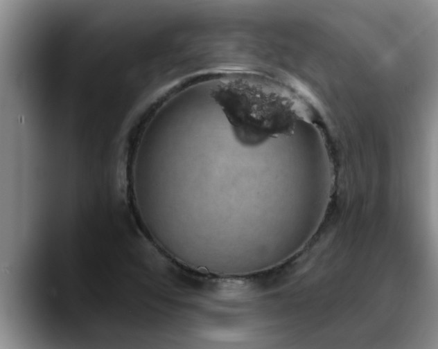 X0000090711456200707201207