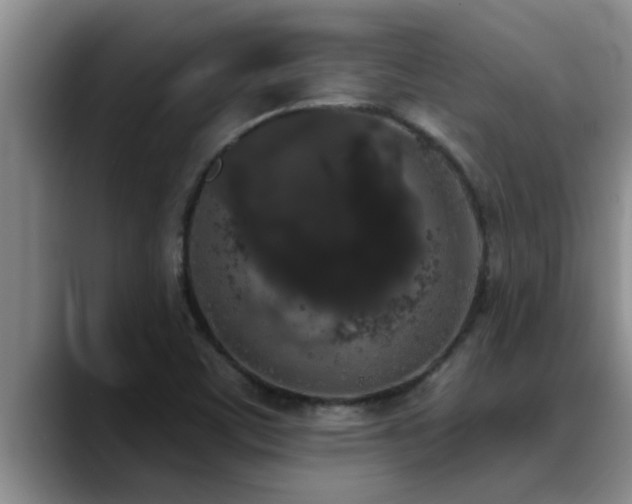 X0000090711459200707201207