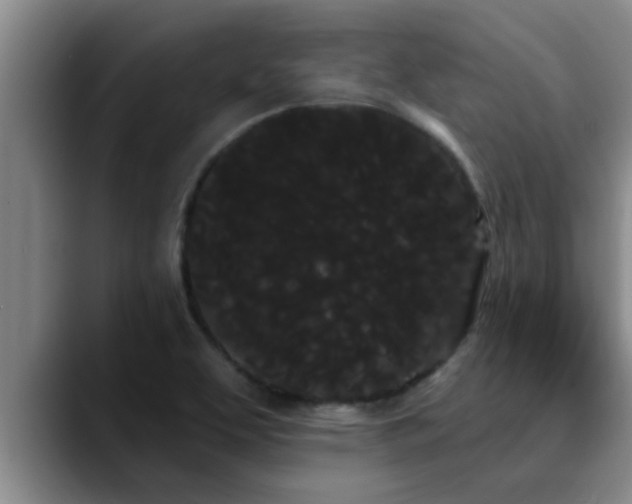 X0000090711463200707201207