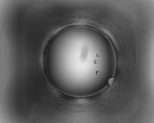 X0000090711464200707201206