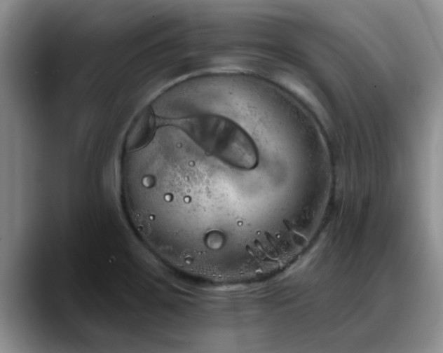 X0000090711467200707201206