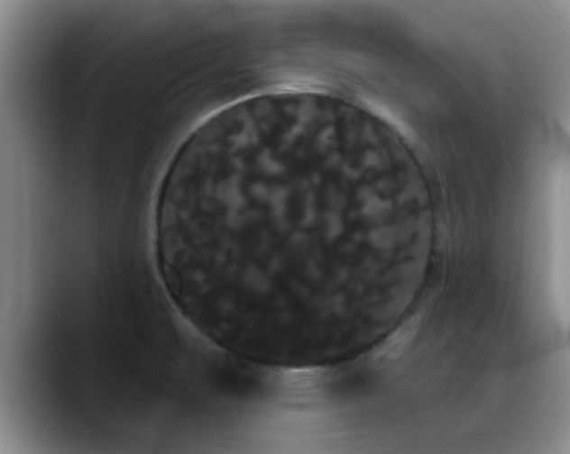 X0000090711471200707201206