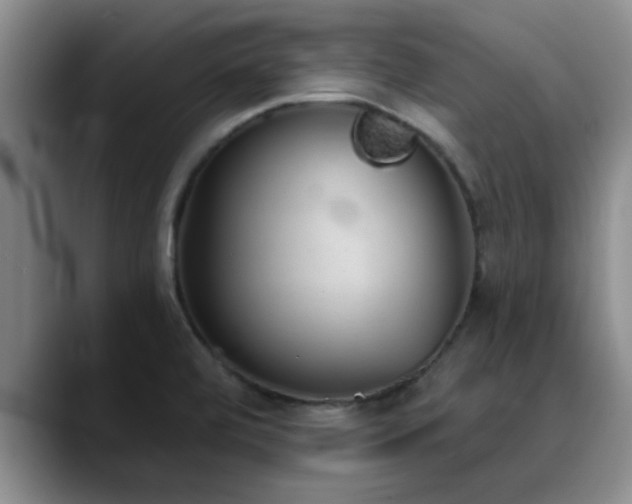 X0000090711472200707201206