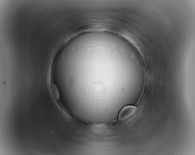 X0000090711477200707201206