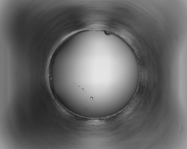 X0000090711478200707201206