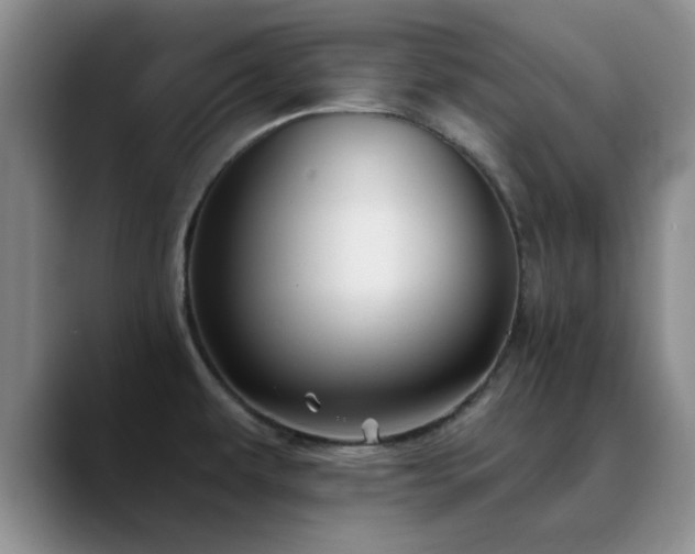 X0000090711479200707201206