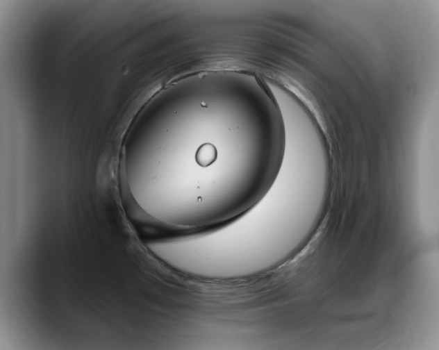 X0000090711481200707201206