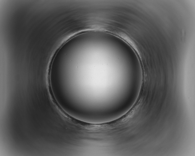 X0000090711485200707201206