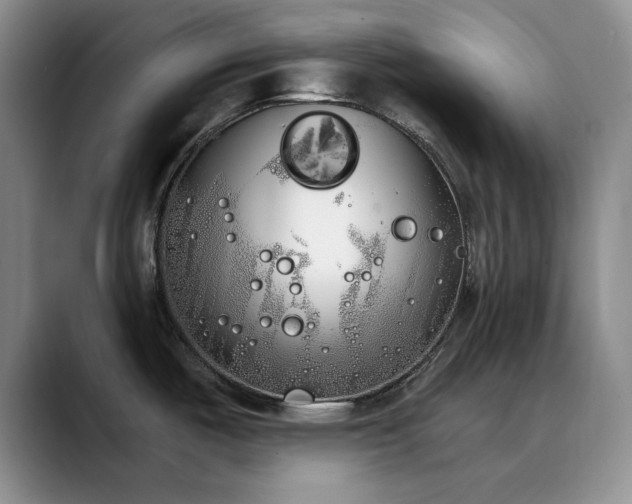 X0000090711487200707201206