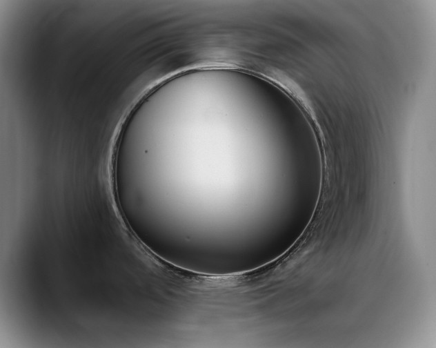 X0000090711488200707201206