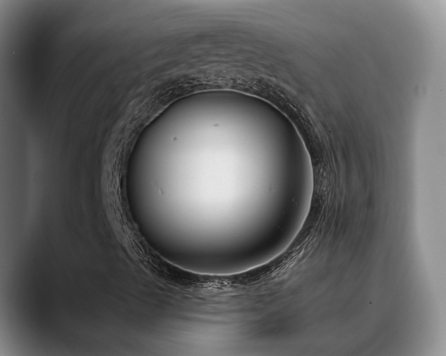 X0000090711489200707201206