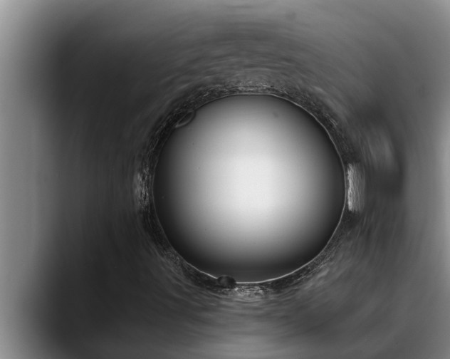 X0000090711491200707201206