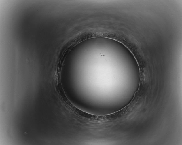 X0000090711493200707201206