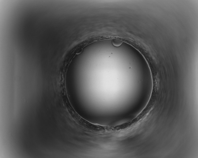 X0000090711494200707201206