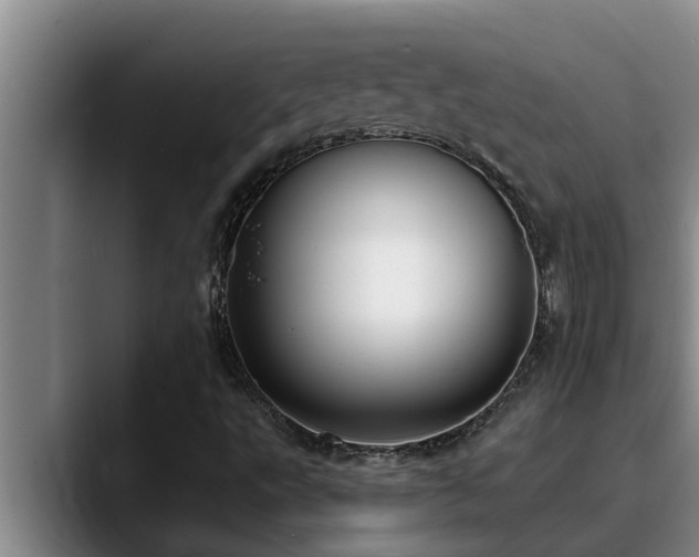 X0000090711495200707201206